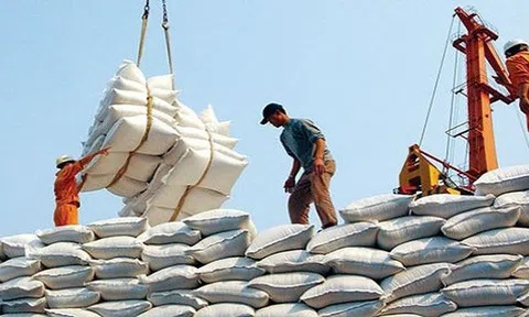 Xuất khẩu gạo trong 4 tháng đầu năm vượt mốc 1 tỷ USD