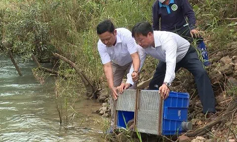 Rừng di sản là nơi ở mới của nhiều động vật hoang dã chuyển tới từ thủ đô