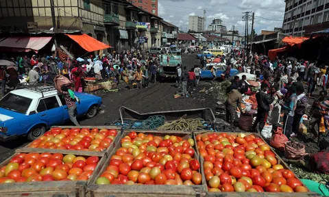 Đức cảnh báo nguy cơ xảy ra nạn đói nghiêm trọng do giá lương thực tăng cao