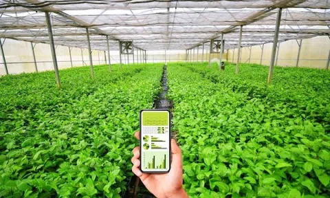 Chuyển đổi số ở Tây Nguyên: Thay đổi tư duy để thoát nghèo, có người thành tỷ phú