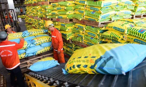 Giá phân bón tăng cao nhất trong 50 năm qua
