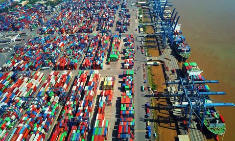 Bộ Tài chính đề nghị TP.HCM xem xét lại việc thu phí sử dụng hạ tầng cảng biển