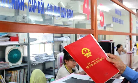 TP.HCM: Gần 11.000 hồ sơ nhà đất bị trả lại vì kê giá thấp