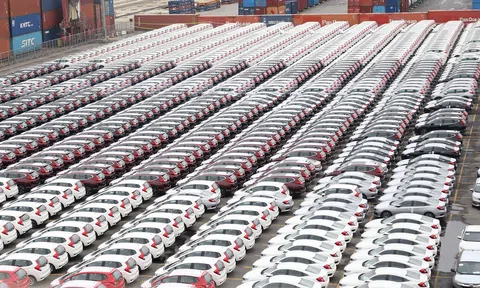 Lượng ô tô nguyên chiếc nhập khẩu cao nhất từ đầu năm