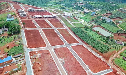 Lâm Đồng: Công an xác định nhiều tổ chức, cá nhân liên quan sai phạm phân lô bán nền