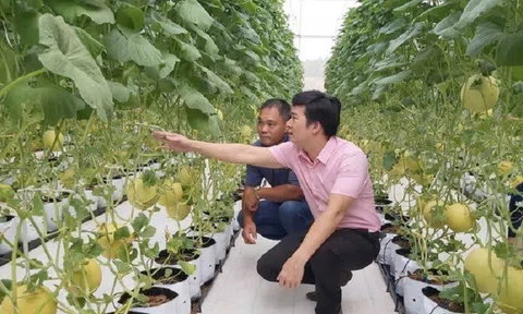 Nông dân huyện Sóc Sơn thi đua phát triển nông nghiệp công nghệ cao