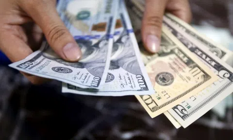 Giá "đồng bạc xanh" cao nhất trong vòng 2 thập kỷ qua