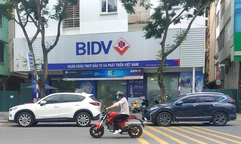 5 đại diện Việt Nam vừa lọt vào danh sách Global 2000 theo xếp hạng của Forbes năm 2022