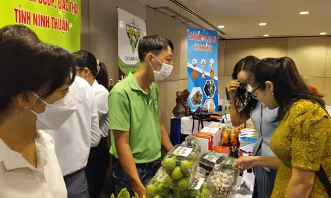 Hà Giang, Ninh Thuận đẩy mạnh quảng bá, xúc tiến du lịch tại TP.HCM