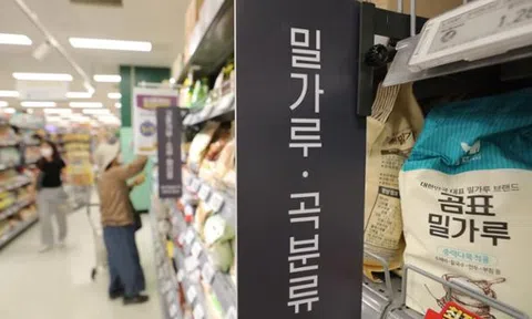 Ấn Độ - nước sản xuất lúa mì lớn thứ 2 thế giới cấm xuất khẩu lúa mì