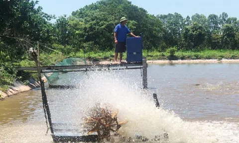 Hà Nội: Thêm hướng đi mới cho nghề nuôi trồng thủy sản