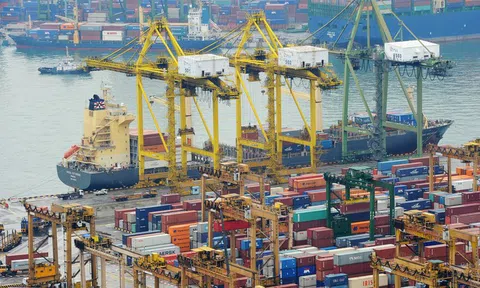 Giá cước vận chuyển container khu vực châu Á giảm nhẹ