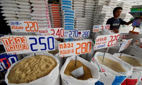 Giá gạo nội địa tăng 25% khiến Thái Lan lo ngại giảm sức cạnh tranh trên thị trường xuất khẩu