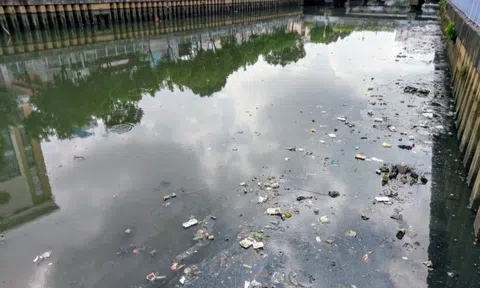 'Bẫy rác' bằng… rác