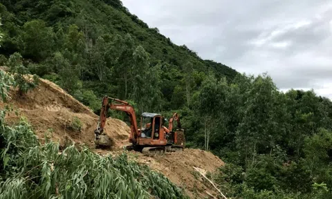 Xử lý nghiêm tình trạng san ủi đồi núi để phân lô, bán nền