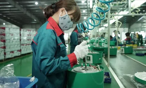 Hỗ trợ doanh nghiệp nhỏ và vừa khởi nghiệp sáng tạo