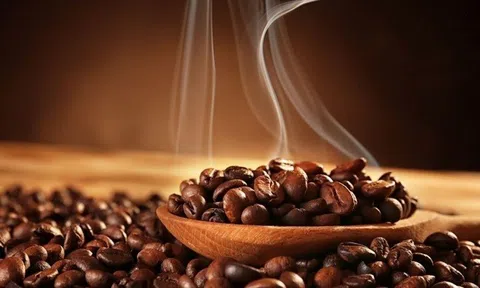 Tiêu dùng xanh ngày 22/5: Giá cà phê trên 2 sàn London và New York cùng giảm hơn 1%