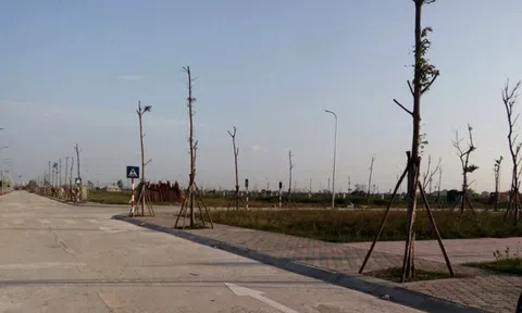 Hiệp hội Bất động sản TP.HCM đề xuất ưu tiên người dân địa phương đấu giá đất trước