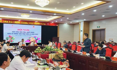 WinCommerce cam kết tiêu thụ 400 - 500 tấn xoài Sơn La