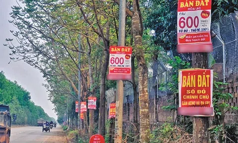 Sau cơn sốt đất, nhà đầu tư như "ngồi trên lửa"