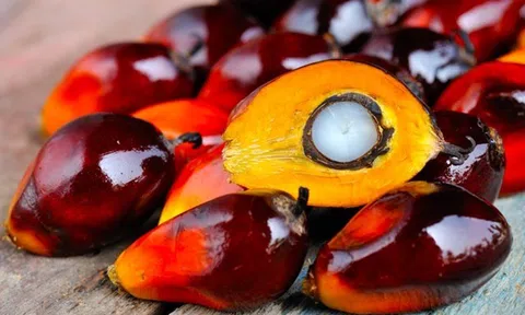 Việt Nam có bị tác động khi nhiều nước dừng xuất khẩu nông sản?