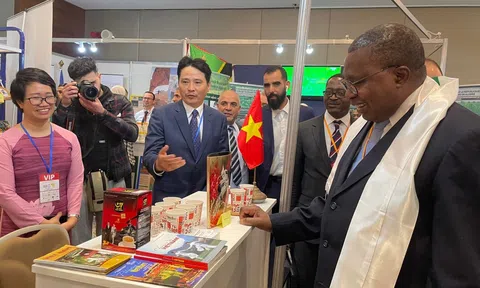 Tư vấn xuất khẩu thủy sản sang thị trường Châu Phi