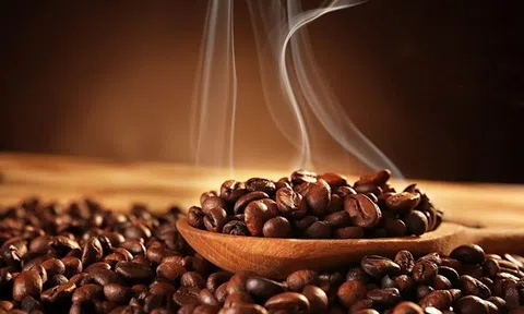 Tiêu dùng xanh ngày 26/5: Giá cà phê đồng loạt tăng mạnh, Robusta đạt gần 2.100 USD/tấn