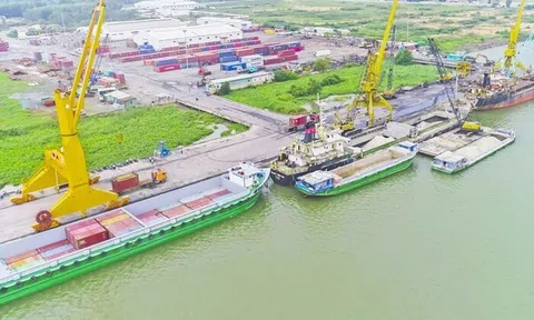 5 giải pháp ‘tháo nút thắt’ logistics cho hàng nông sản Đồng bằng sông Cửu Long