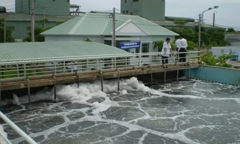 Dùng tảo hạt hoạt tính xử lý nước thải