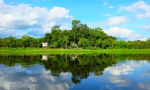 Bảo vệ đa dạng sinh học vùng đất ngập nước Bàu Sấu