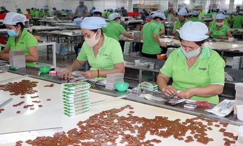 Doanh nghiệp Bến Tre đổi mới công nghệ chế biến dừa