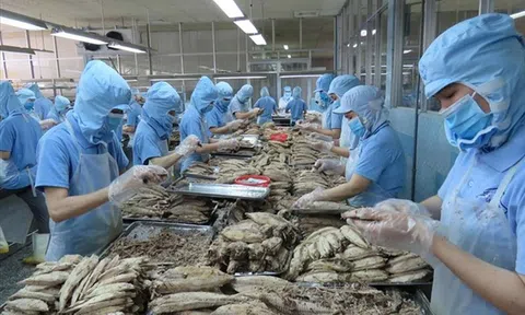 Lợi thế từ Hiệp định RCEP và cơ hội xuất khẩu thủy sản cho doanh nghiệp Việt