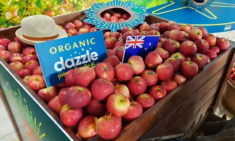 Sản phẩm táo hữu cơ Dazzle ra mắt tại thị trường Việt Nam