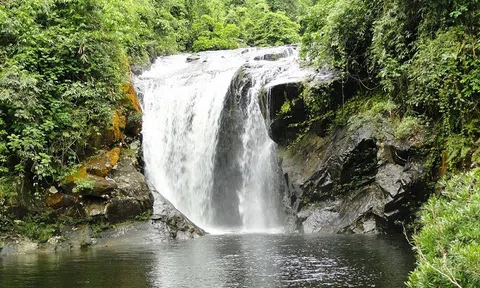 Tham vấn chính sách phát triển du lịch sinh thái trong rừng đặc dụng, phòng hộ