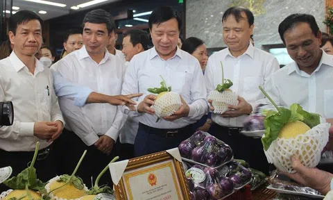 Vải thiều Thanh Hà đạt chất lượng cao, nhiều doanh nghiệp góp sức tiêu thụ