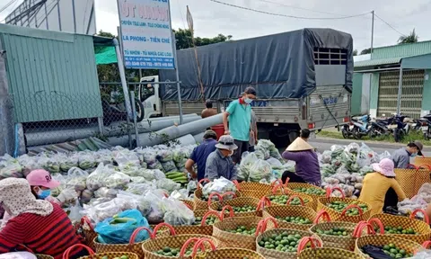 Doanh nghiệp, người nông dân ứng phó với giá xăng dầu tăng cao
