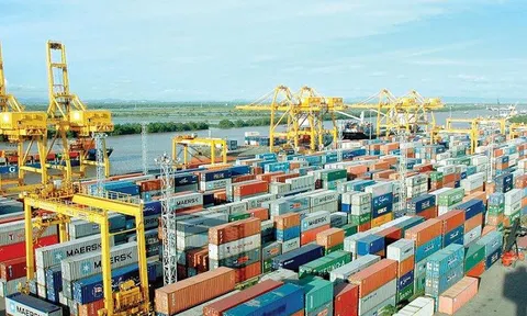 Phát triển vật liệu nhẹ tại Việt Nam để bảo vệ môi trường