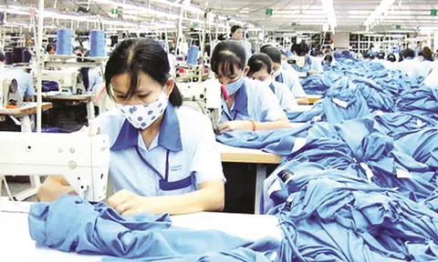 TP.HCM hỗ trợ tiền thuê nhà cho 1,2 triệu lao động