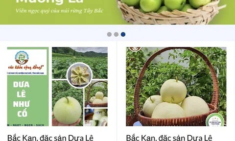 Bắc Kạn đẩy mạnh ứng dụng thương mại điện tử trong tiêu thụ các sản phẩm OCOP