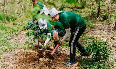 Nestlé Việt Nam trồng rừng góp phần giảm tác động biến đổi khí hậu