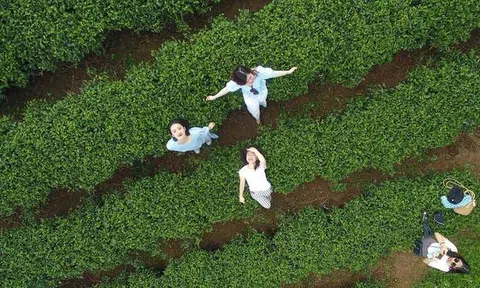 Bài 1: Phát triển du lịch xanh - cơ hội để Việt Nam trở thành điểm đến được lựa chọn hàng đầu