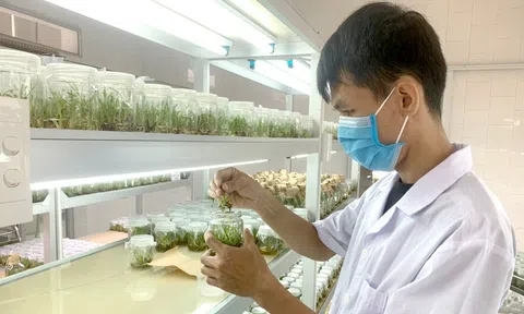 Chuyển đổi số là giải pháp đột phá của ngành nông nghiệp Tuyên Quang