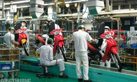 Chiến lược hợp tác đầu tư nước ngoài giai đoạn 2021 - 2030