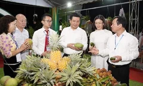 Mở lối đi rộng hơn cho nông sản đến vụ