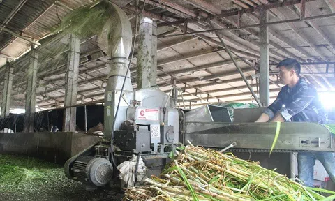 Nông nghiệp tuần hoàn giúp người dân vượt qua ‘bão giá’ vật tư đầu vào