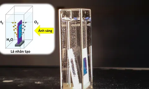 Lá nhân tạo mới – nguồn nhiên liệu mới