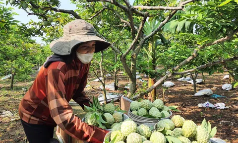 Chuyển đổi số trong nông nghiệp để năng suất bứt phá vươn xa