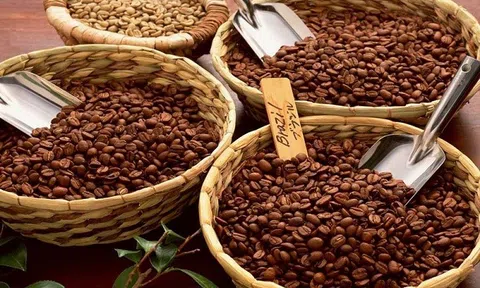 Tiêu dùng xanh ngày 8/6: Giá cà phê trong nước giảm nhẹ, Arabica giảm hơn 2% trên sàn thế giới