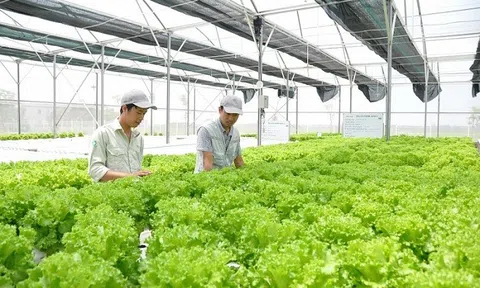 Ngành nông nghiệp cần nỗ lực thoát khỏi tình trạng manh mún, nhỏ lẻ, tự phát