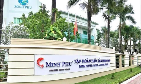 Thủy sản Minh Phú: Mục tiêu lãi trước thuế 2022 tăng 109%, phát hành cổ phiếu thưởng tỷ lệ 1:1
